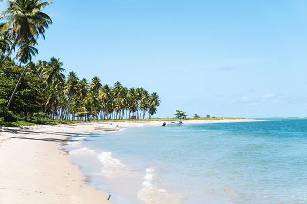 Beach in Praia dos Carneiros, Brazil, South America | by David Emrich 600x400