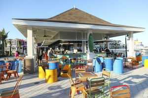 Ocean Cay MSc Marine Reserve Springers Bar - Destination Caribien og Antillerne Bahamas