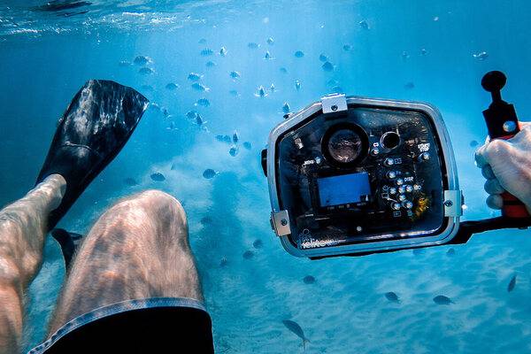 Underwater camera with fish in the Caribbean | By Jackob Owen 600x400