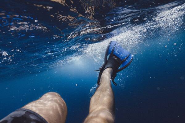 Underwater camera with fish in the Caribbean | By Jakob Owens 600x400