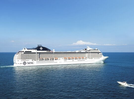 MSC Musica - arial picture - Birdlife South Africa Cruise Ship