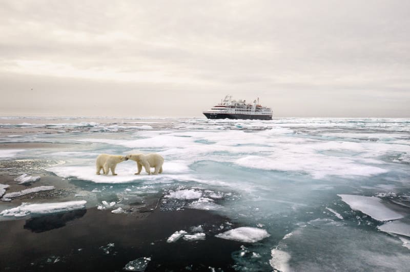 A captivating sight of polar bears in the Arctic, with the Silver Explorer ship in the background. Embark on an unforgettable Silversea Expedition