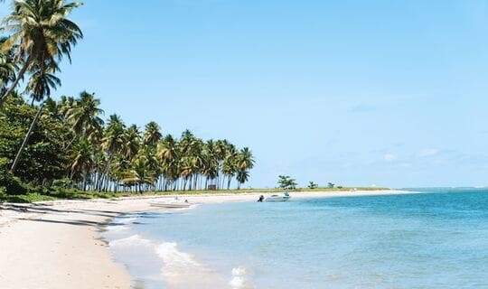A picture of the beach of Mozambique