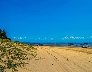 Journey to Inhaca King  Turtle beach - a memorable excursion on a Durban South Africa cruise onboard MSC Orchestra