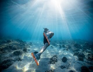 MSC Excursion - Inhaca reef drift snorkelling