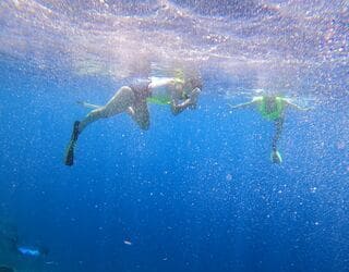 Image for the excursion at Santa maria Snorkelling, some of the most beautiful waters you can find outside the Island in addition to your cruise