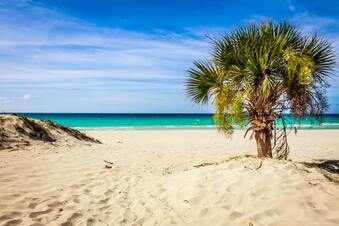 Beach in the Bahamas, Caribbean | 339x226