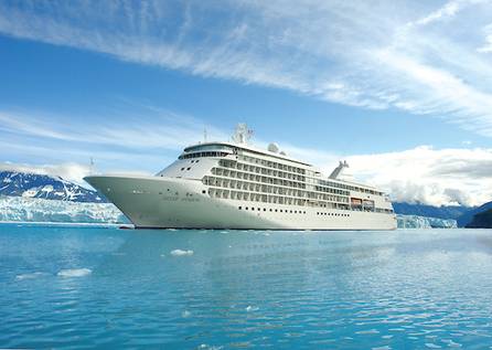 Silver Shadow 446x317