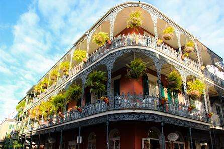 New Orleans, USA |  Aya Salman | 446x298