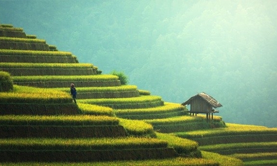 Far East Asia | Person Standing on Terraces | pexels